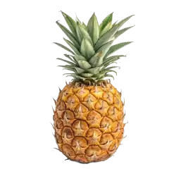 Imagen PNG para descargar